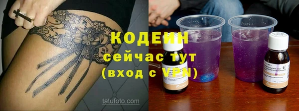 индика Нея