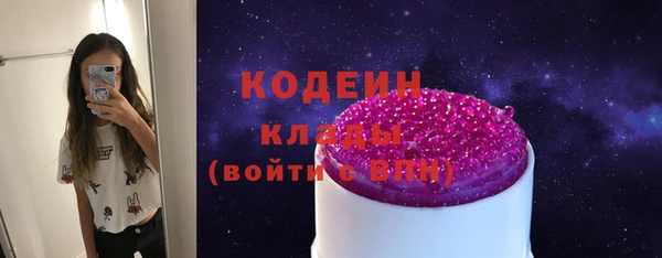 индика Нея