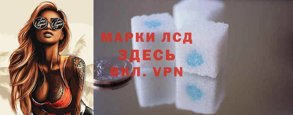 индика Нея