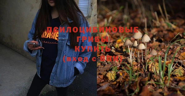 индика Нея