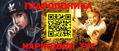 круглые Бийск