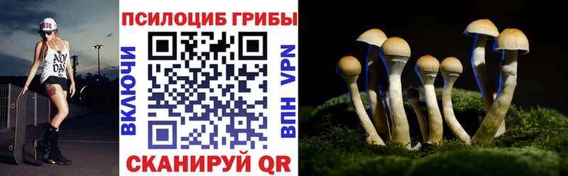 где купить   Белебей  Галлюциногенные грибы Psilocybine cubensis 