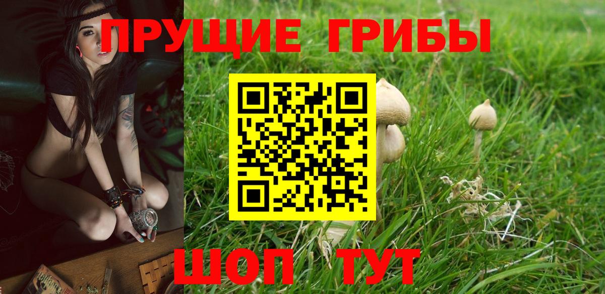 МЕФ Белебей