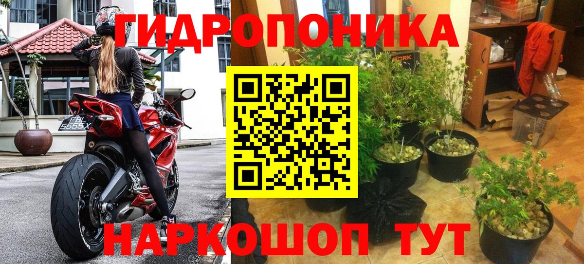 Канабис сатива  Вход с VPN  Марихуана SATIVA & INDICA  Каннабис White Widow  Белебей  Бошки Шишки гибрид 